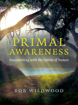 cover image of Primal Awareness